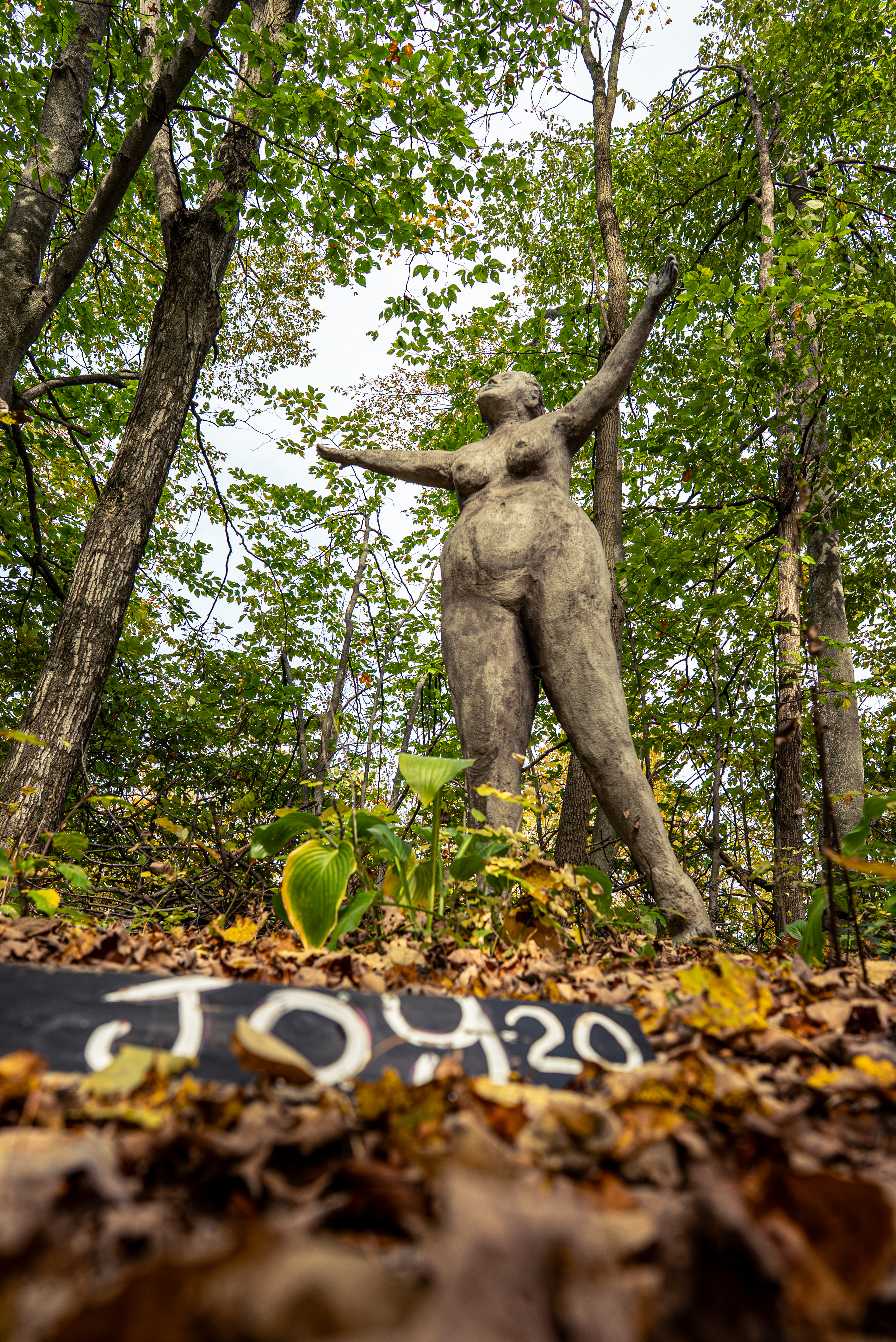 ArtForest 07521